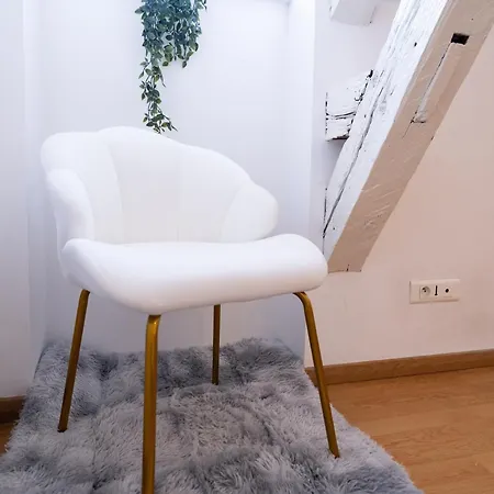 Le Prestige Palois Appartement Pau
