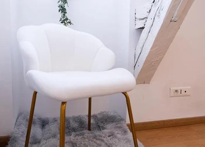 Le Prestige Palois Appartement Pau